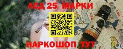 гидропоника Кингисепп
