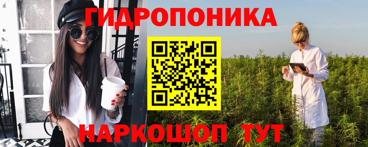 МЕФ кристаллы  Кингисепп  Марихуана  Вход с VPN  Гашиш 